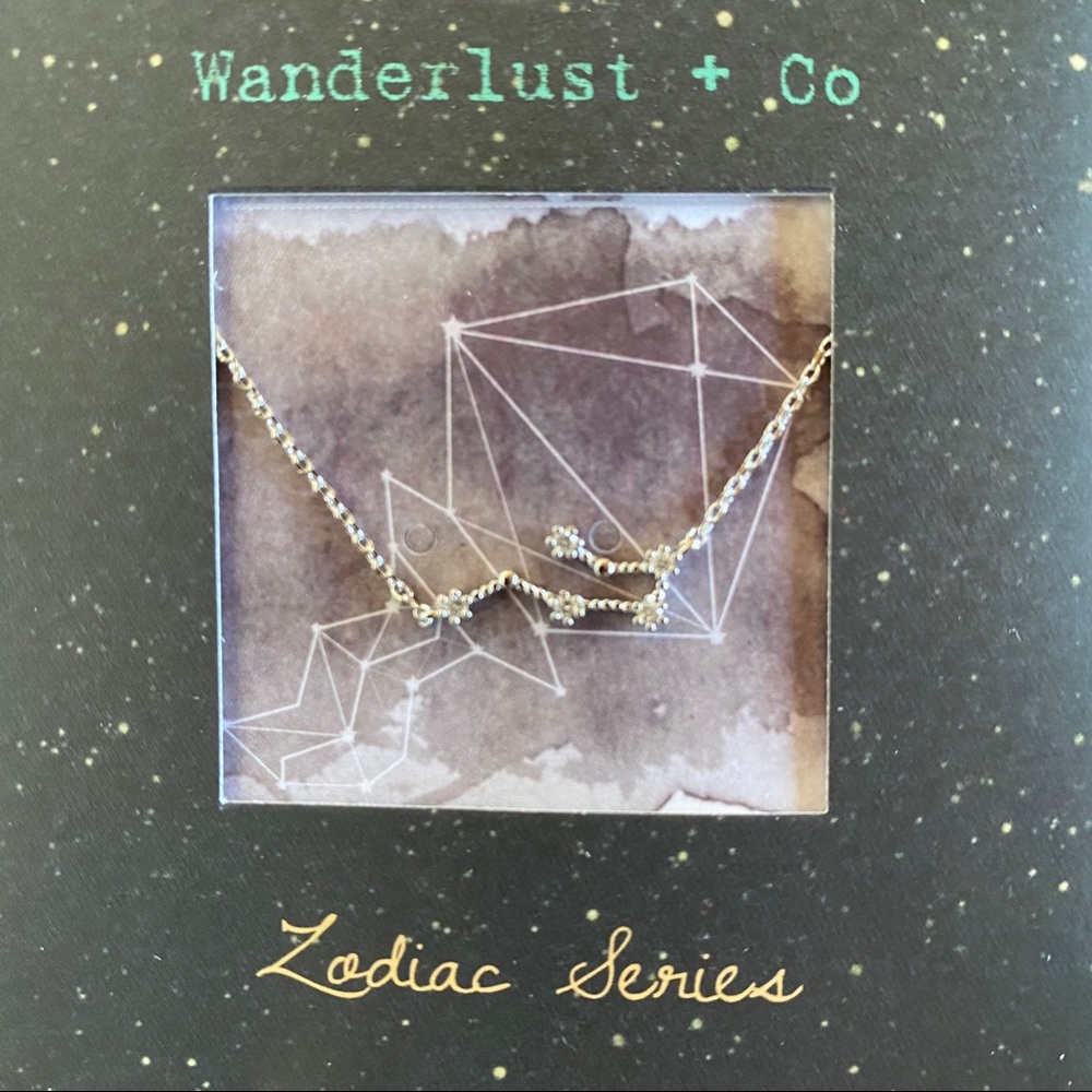 Aquarius Zodiac Silver Necklace by Wanderlust + CO
